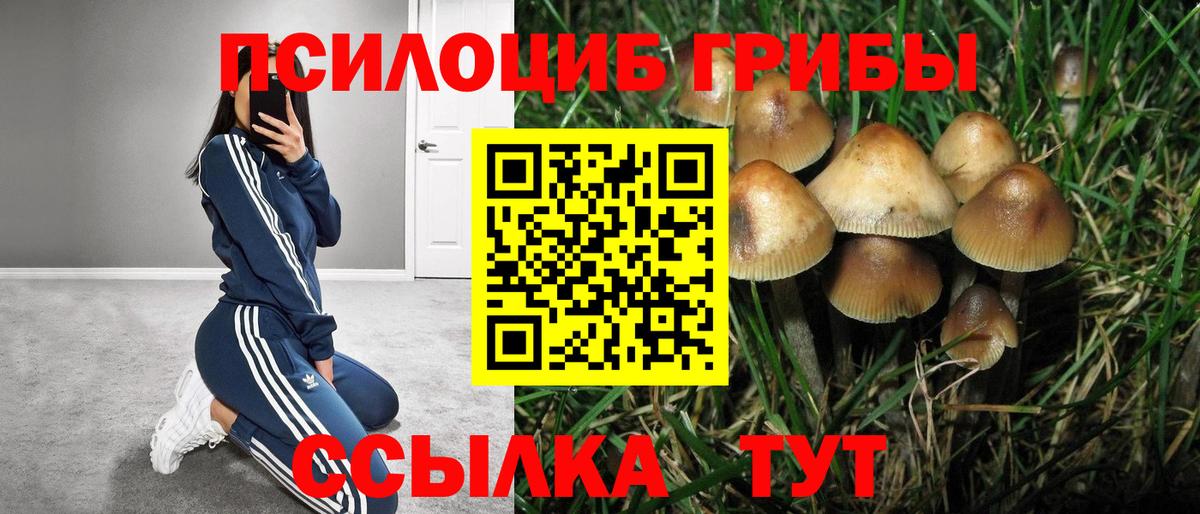 Галлюциногенные грибы мицелий  Вход с VPN  даркнет сайт  Новороссийск 